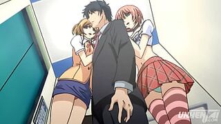 Hentai Uncensored: Elevator with Hot Busty Girls Subtitled